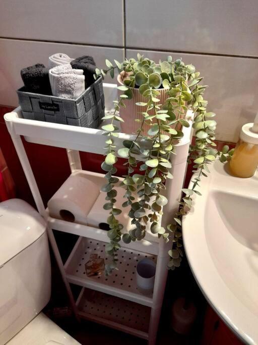Apartament Sady'S House Yimnon Zewnętrze zdjęcie